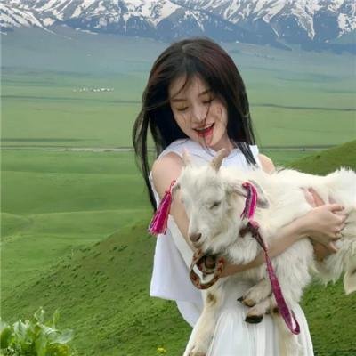 许愿神龙海报